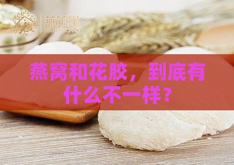 燕窝花胶有什么不同之处