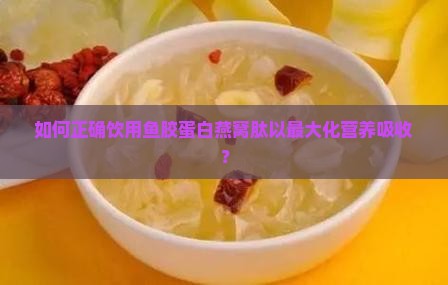 鱼胶蛋白燕窝肽怎么饮用