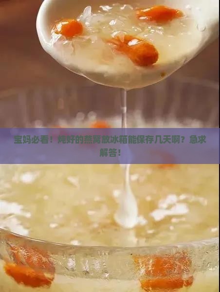 燕窝炖好多久放进冰箱里