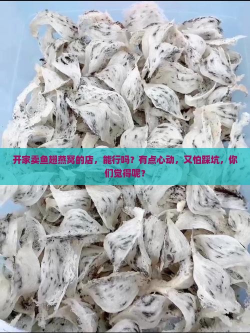 鱼翅燕窝开店怎么样啊