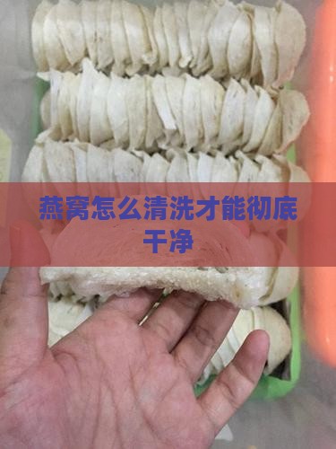 白燕窝怎么清理才干净呢
