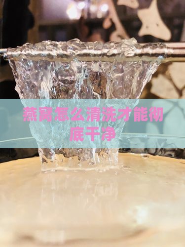 白燕窝怎么清理才干净呢