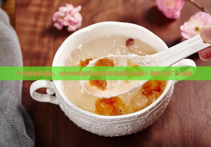 带羽毛燕窝是什么样的