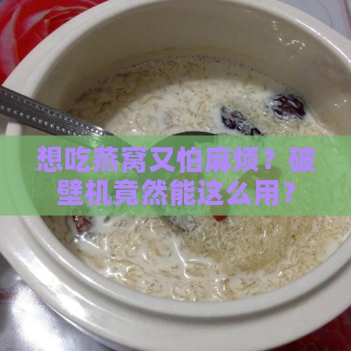 怎么用破壁机做燕窝窍门