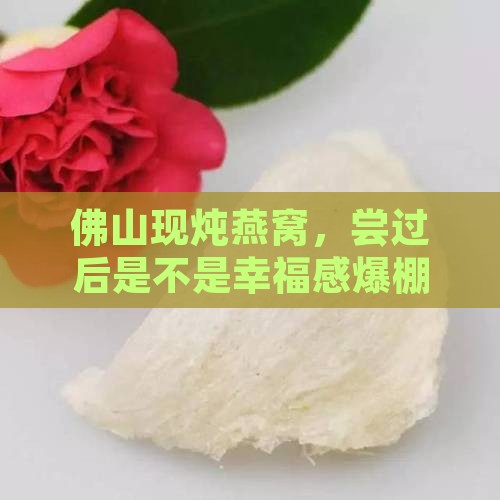 佛山代鲜炖燕窝怎么样啊