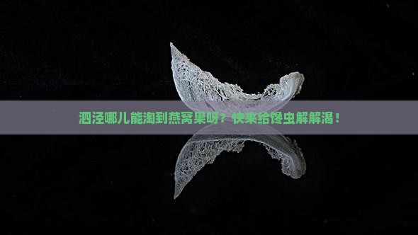 泗泾哪里卖燕窝果的多些