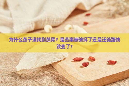燕子怎么没找到燕窝呢