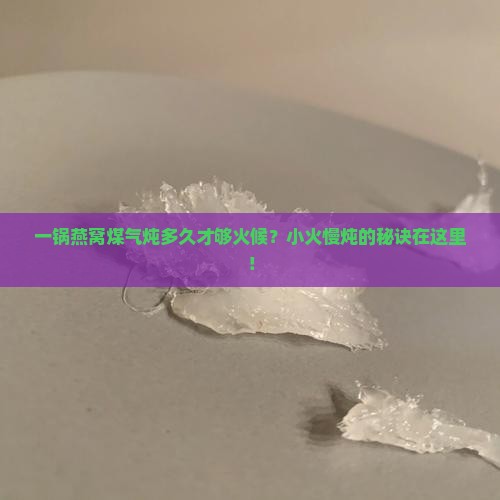 燕窝煤气炖煮多久能熟啊