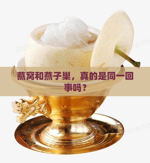 燕窝和燕子巢有什么区别