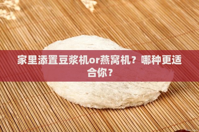 豆浆机燕窝机怎么选购