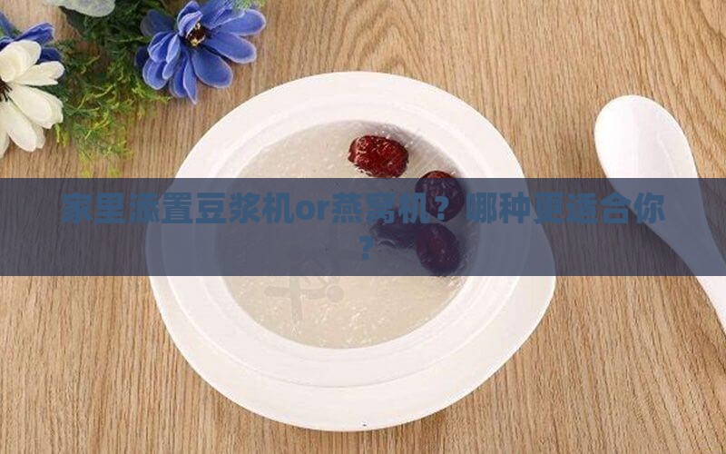 豆浆机燕窝机怎么选购