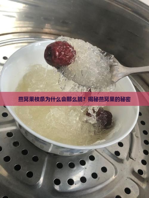 燕窝果枝条怎么会那么脆