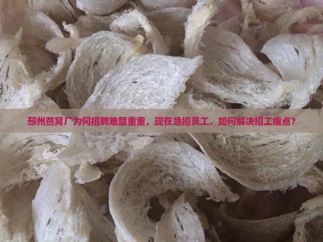 邳州燕窝厂在哪里啊招工