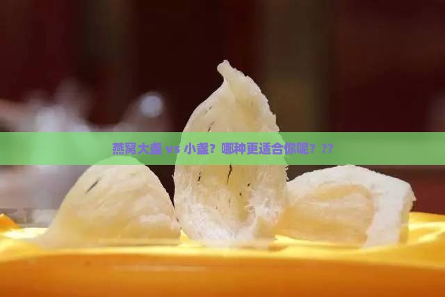 燕窝大盏跟小盏哪个好