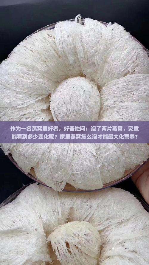 两片燕窝泡出来有多少