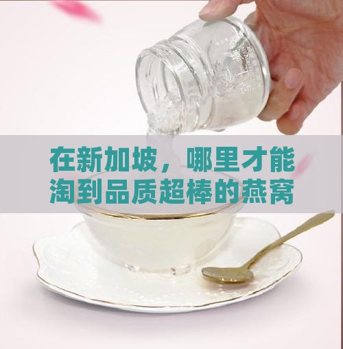 新加坡哪里买到好的燕窝