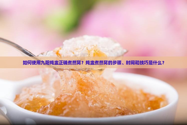 九阳炖盅煮燕窝怎么煮的