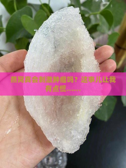 燕窝会刺激肿瘤吗为什么