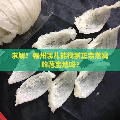 霸州燕窝专卖店在哪里啊
