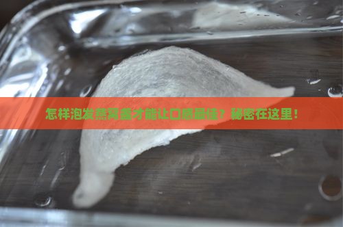 燕窝盏怎么泡发效果最好