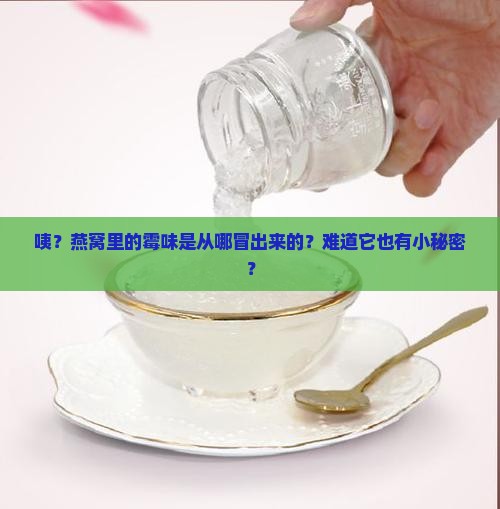 燕窝中的霉味来自哪里