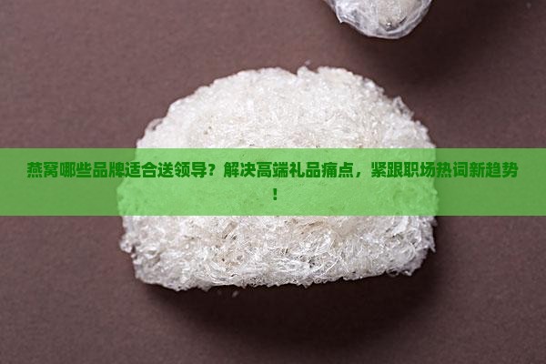 适合送领导的燕窝有哪些