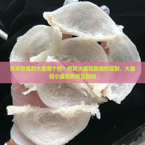 燕窝官盏和大盏哪个好