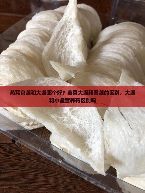 燕窝官盏和大盏哪个好