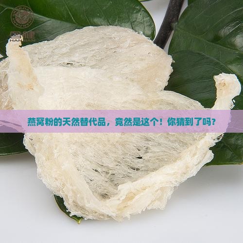什么物品可以替代燕窝粉
