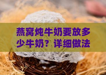 燕窝炖牛奶要放多少牛奶