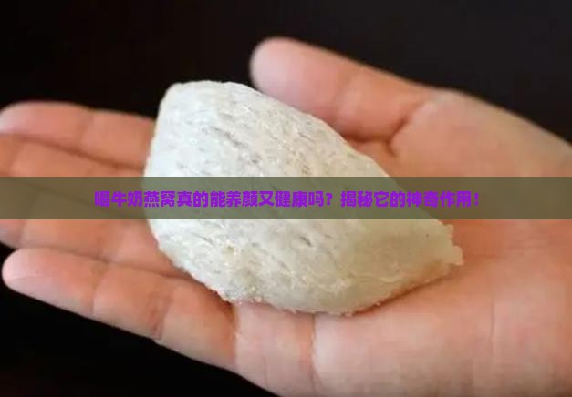 正品牛奶燕窝有什么作用