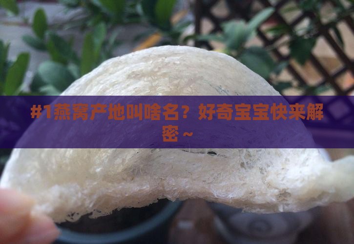 燕子产燕窝的地方叫什么 燕子产燕窝的地方叫什么