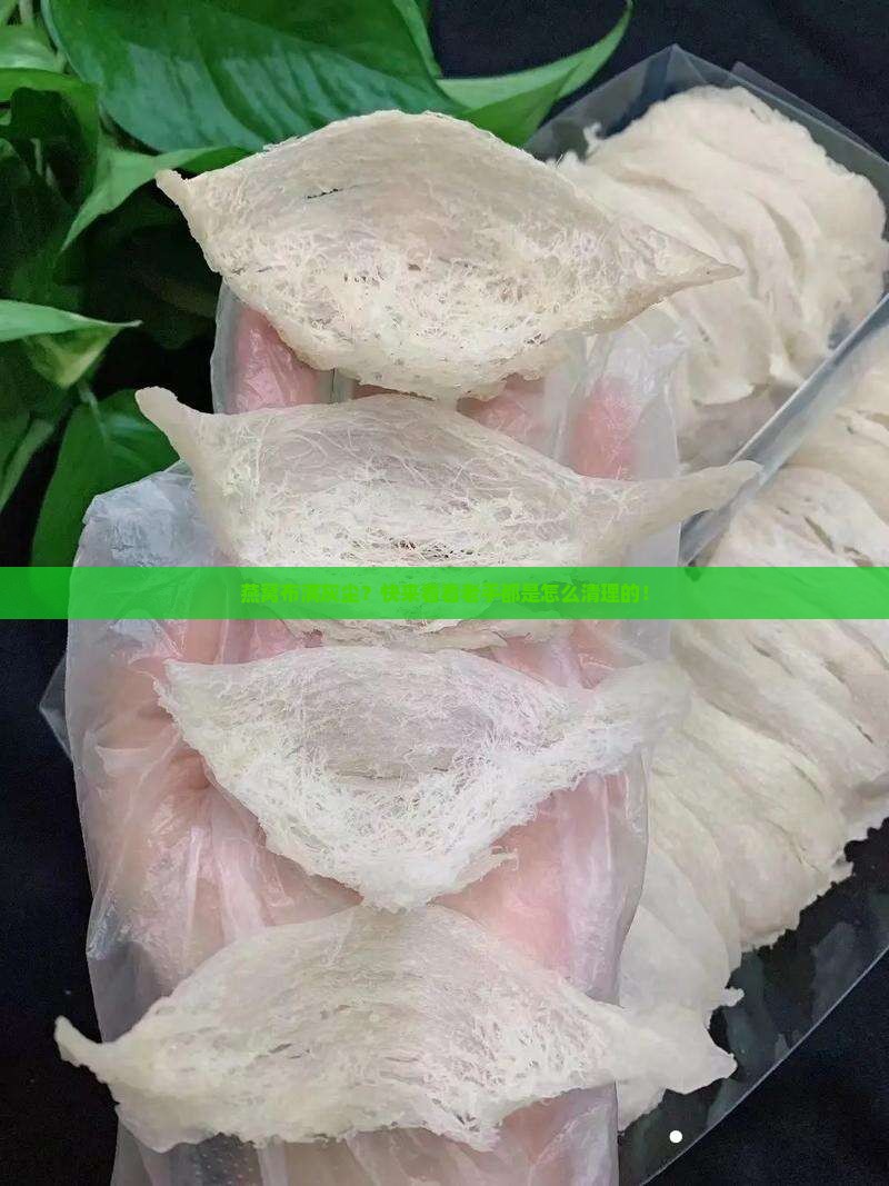 燕窝怎么清洗灰尘最有效 燕窝怎么清洗灰尘最有效