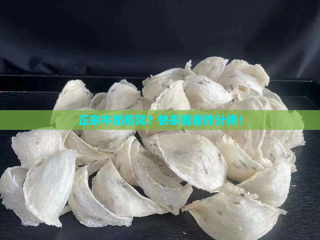 正规牛奶燕窝怎么分辨