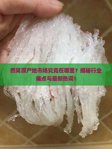 燕窝原产地市场在哪里