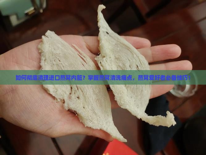进口燕窝怎么清理内脏