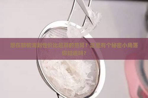 赣榆哪里买燕窝便宜些呢