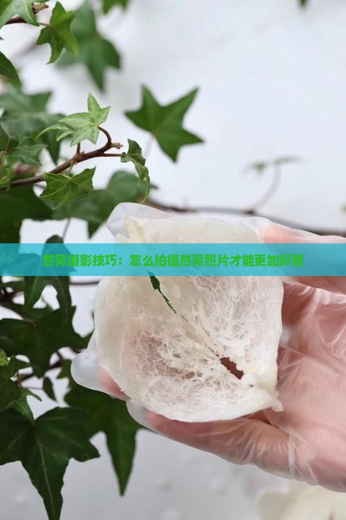 燕窝照片怎么拍比较好看
