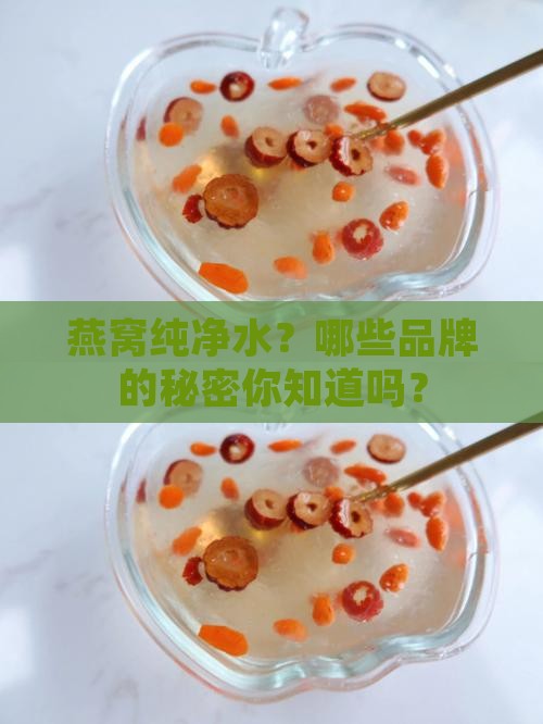 燕窝纯净水有哪些牌子的