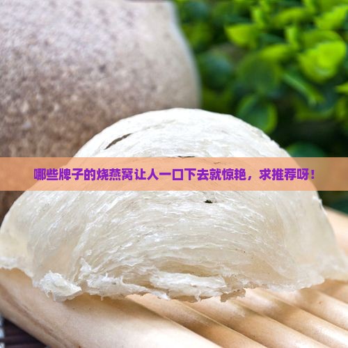烧燕窝推荐牌子有哪些好