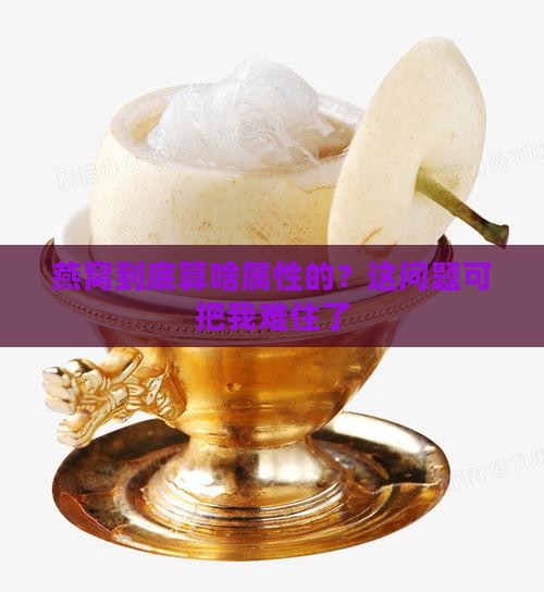 燕窝是属于什么属性的