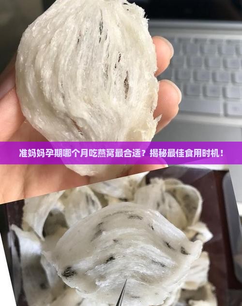 孕妇什么时间和燕窝最好