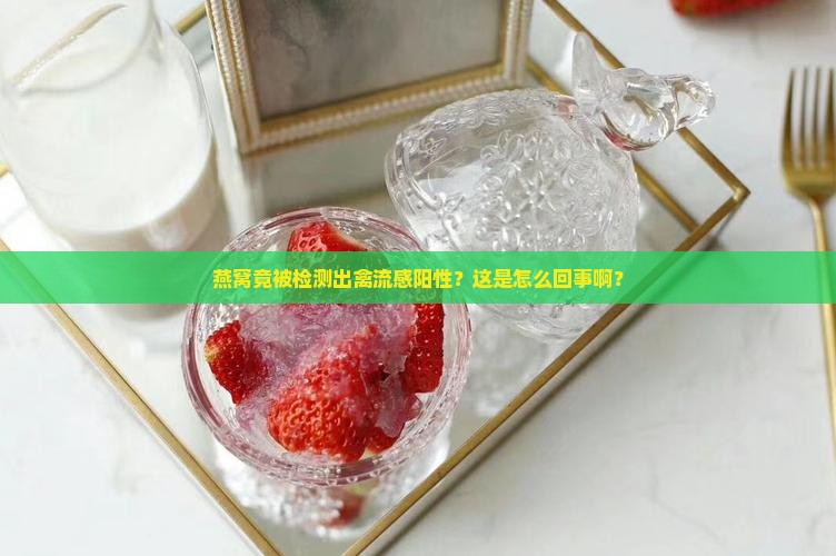 燕窝验证禽流感yes是什么意思