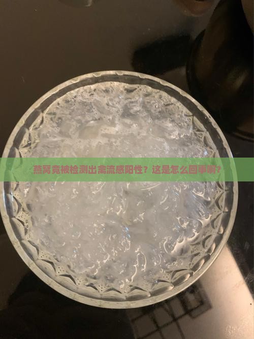 燕窝验证禽流感yes是什么意思