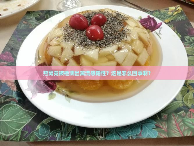 燕窝验证禽流感yes是什么意思