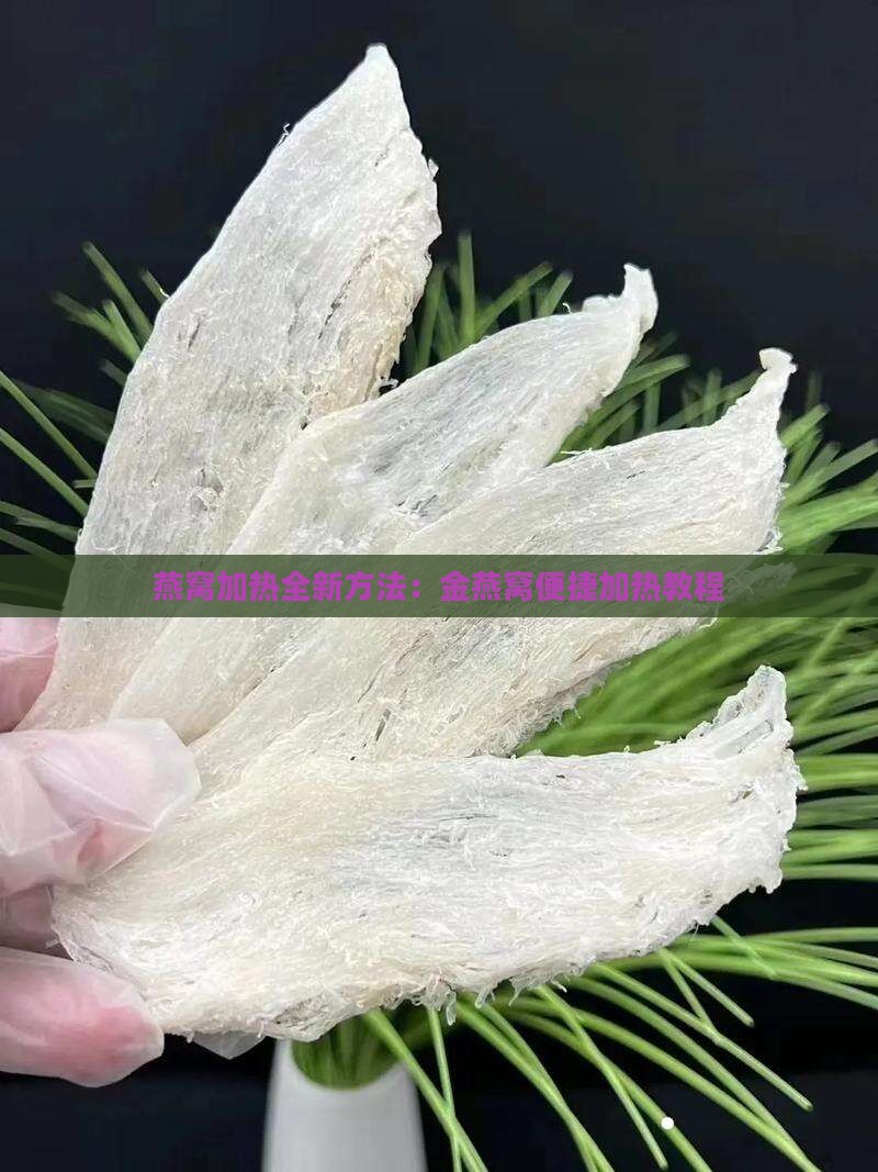 金燕窝怎么加热神器教程