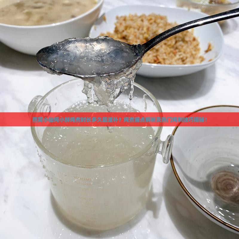 做燕窝小仙炖小鲜炖多久