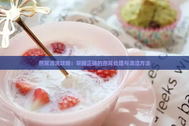 新的燕窝怎么处理干净