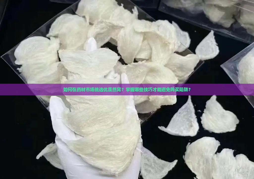 如何在药材市场买燕窝