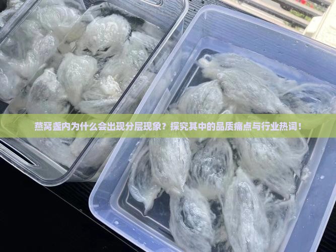 燕窝盏内分两层是什么 燕窝盏内分两层是什么